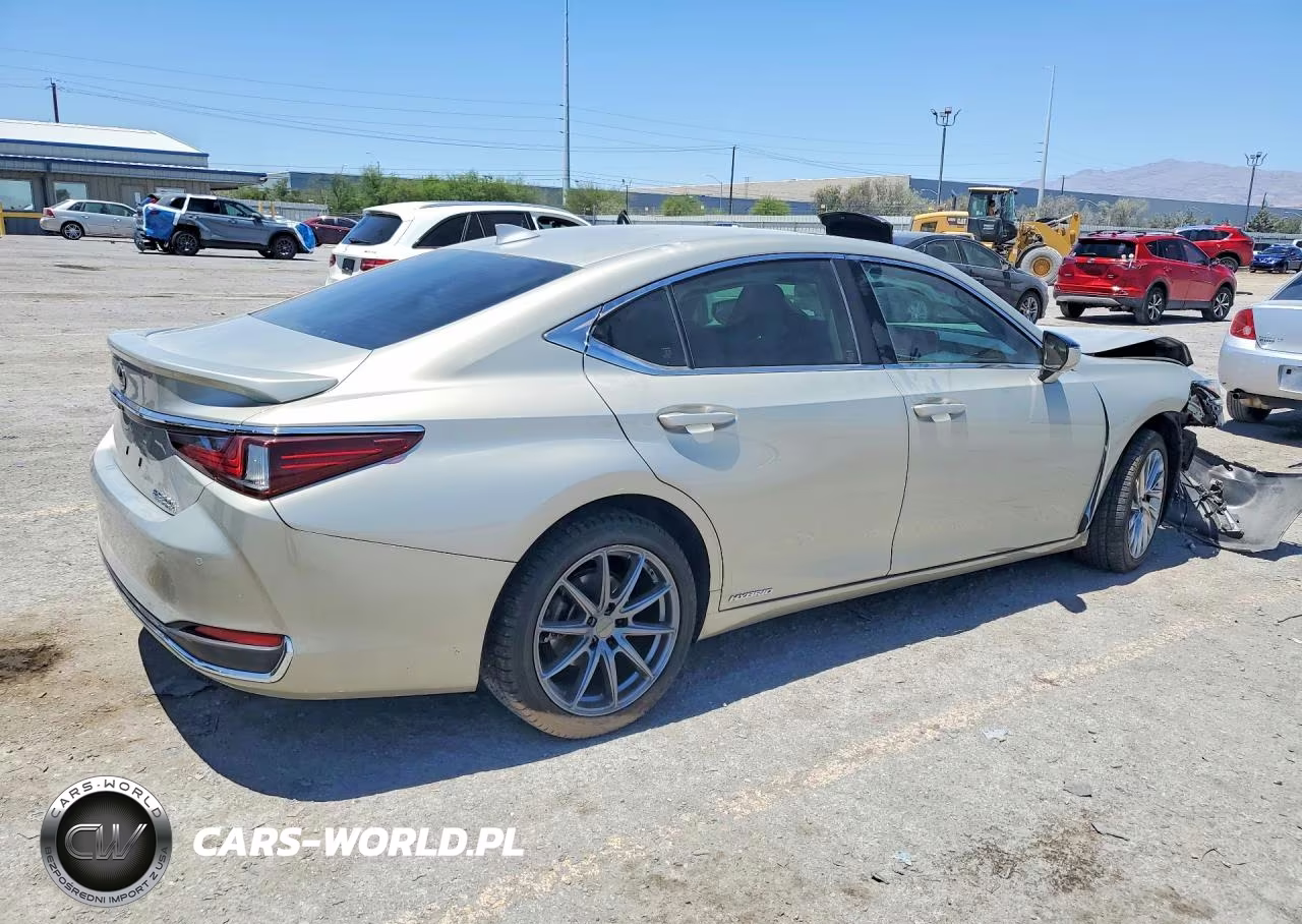 2019 Lexus Es 300H VIN:JTHB21B10K2045668 - 3
