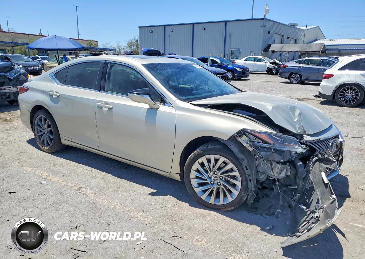 2019 Lexus Es 300H VIN:JTHB21B10K2045668 - 4