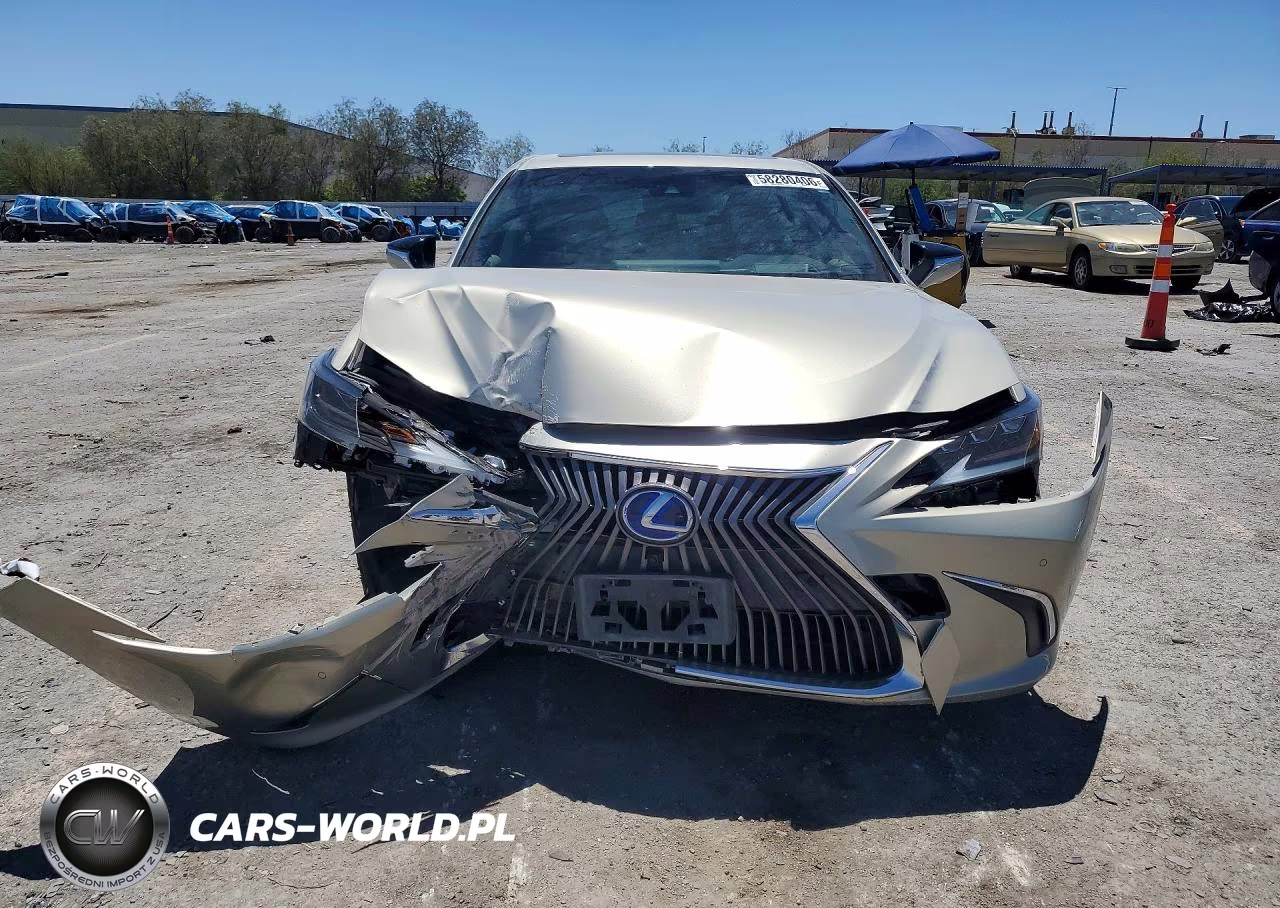 2019 Lexus Es 300H VIN:JTHB21B10K2045668 - 5