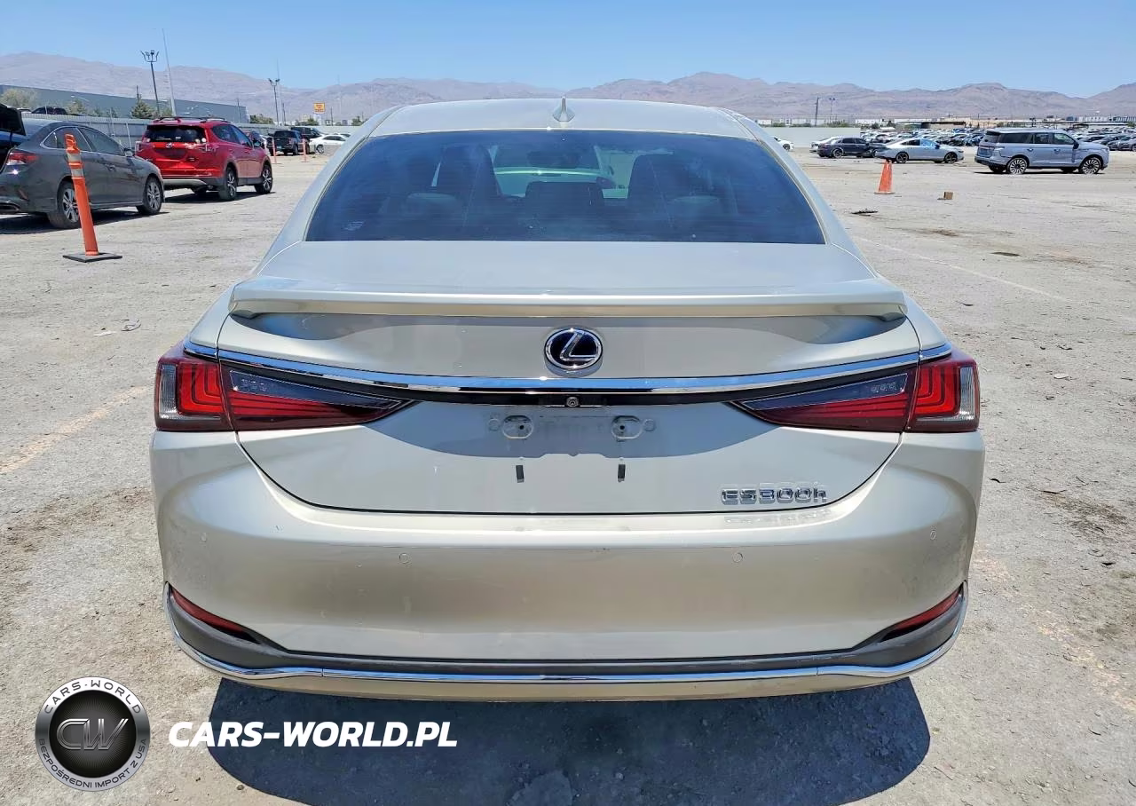 2019 Lexus Es 300H VIN:JTHB21B10K2045668 - 6