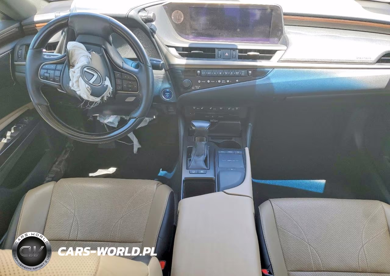 2019 Lexus Es 300H VIN:JTHB21B10K2045668 - 8