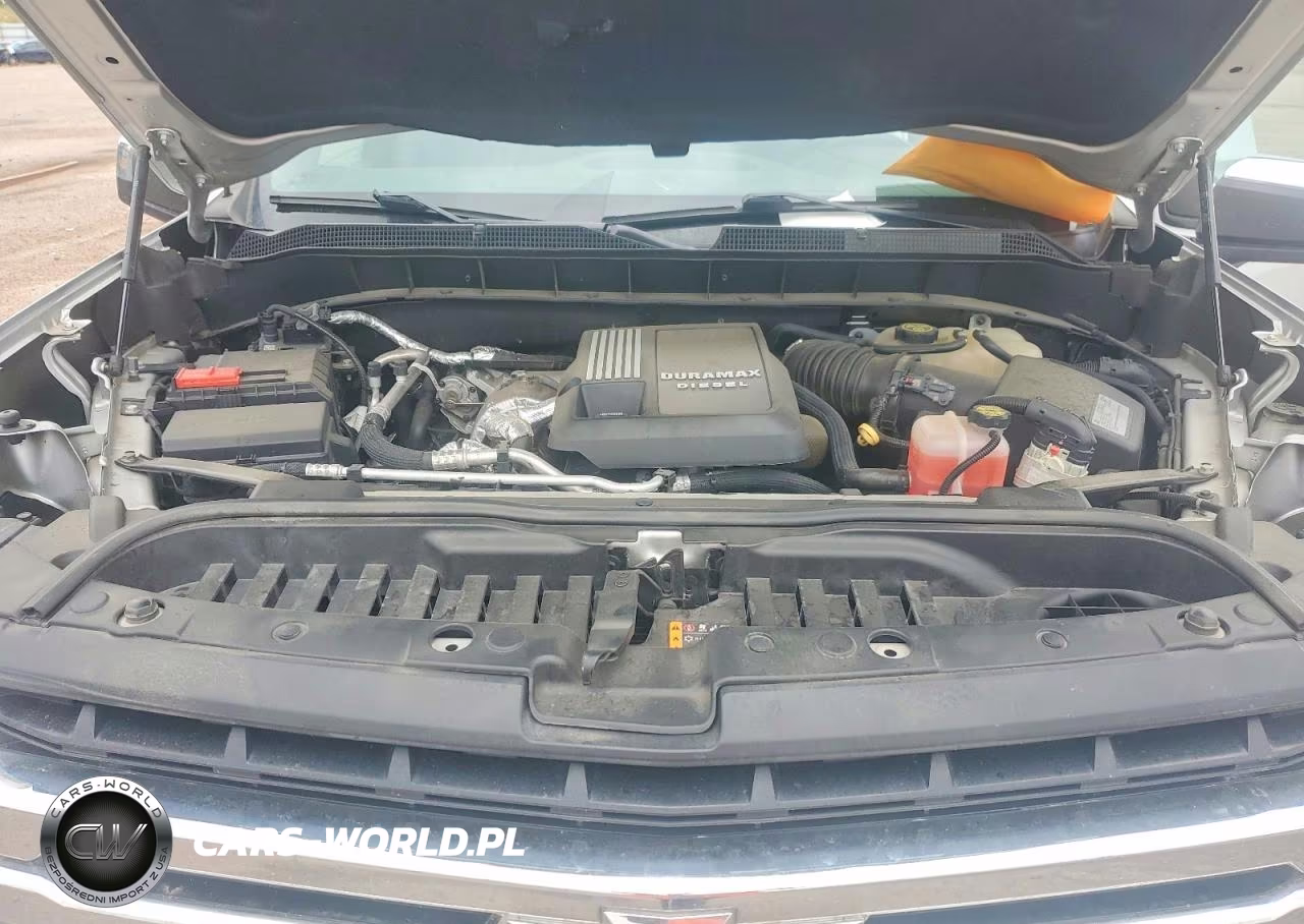 2021 Chevrolet Silverado K1500 Lt VIN:3GCUYDET0MG223919 - 11