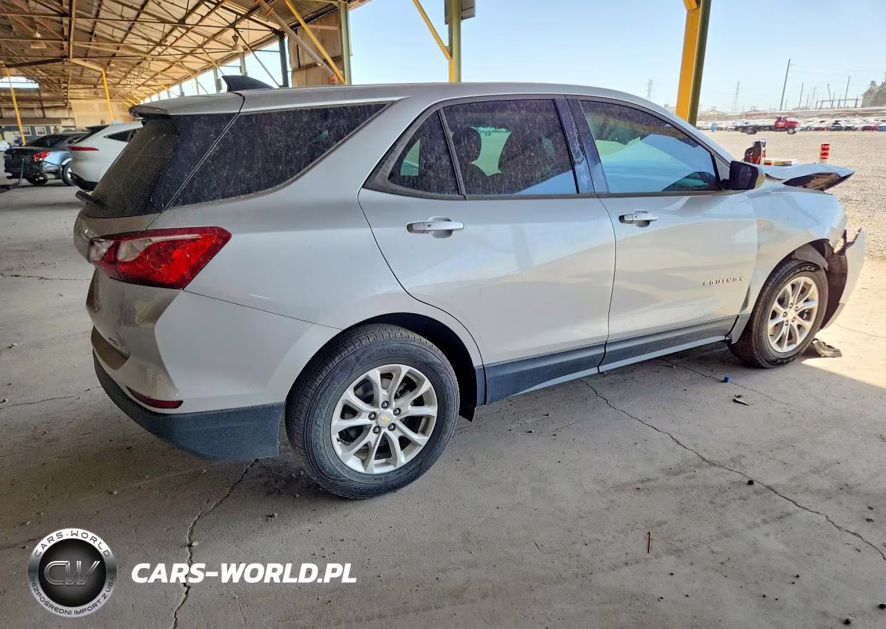 2019 Chevrolet Equinox Ls VIN:2GNAXSEV1K6264362 - 3