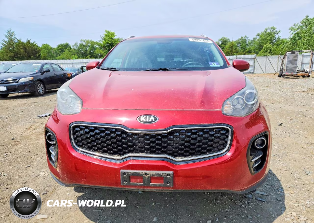 2019 Kia Sportage Lx VIN:KNDPMCAC6K7553033 - 5