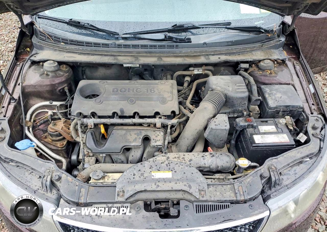 2010 Kia Forte Ex VIN:KNAFU4A2XA5174441 - 11