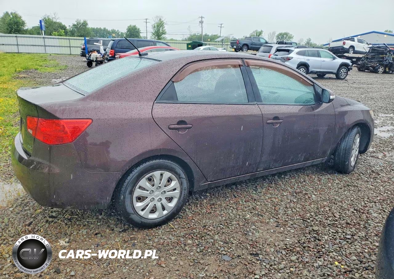 2010 Kia Forte Ex VIN:KNAFU4A2XA5174441 - 3