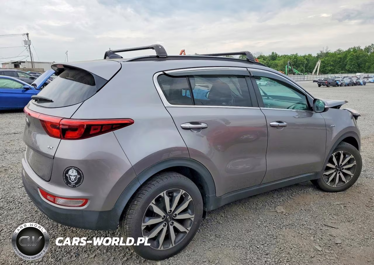 2019 Kia Sportage Ex VIN:KNDPNCAC0K7549556 - 3