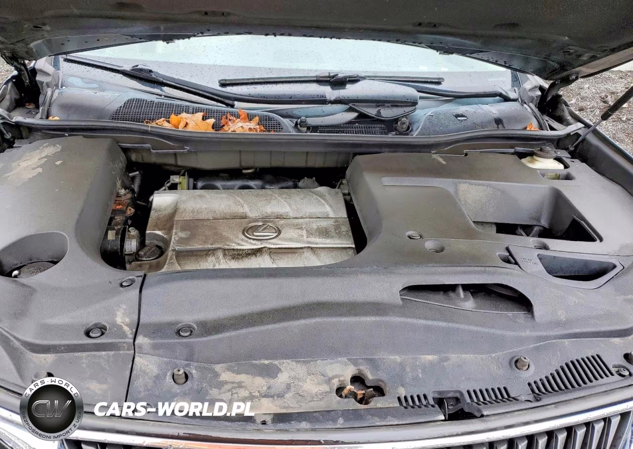 2011 Lexus Rx 350 VIN:2T2BK1BA2BC108977 - 12