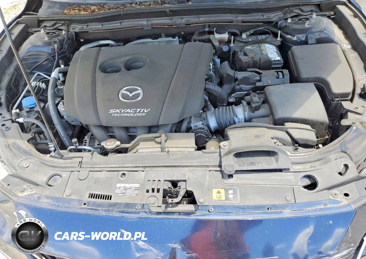 2016 Mazda Mazda 3 VIN:JM1BM1M70G1353918 - 11