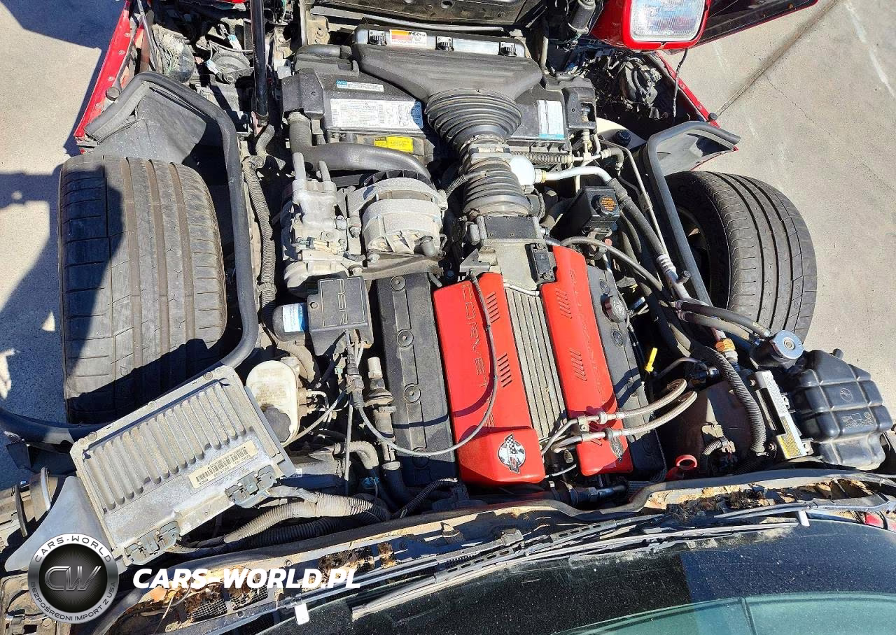 1996 Chevrolet Corvette VIN:1G1YY22P0T5118440 - 11