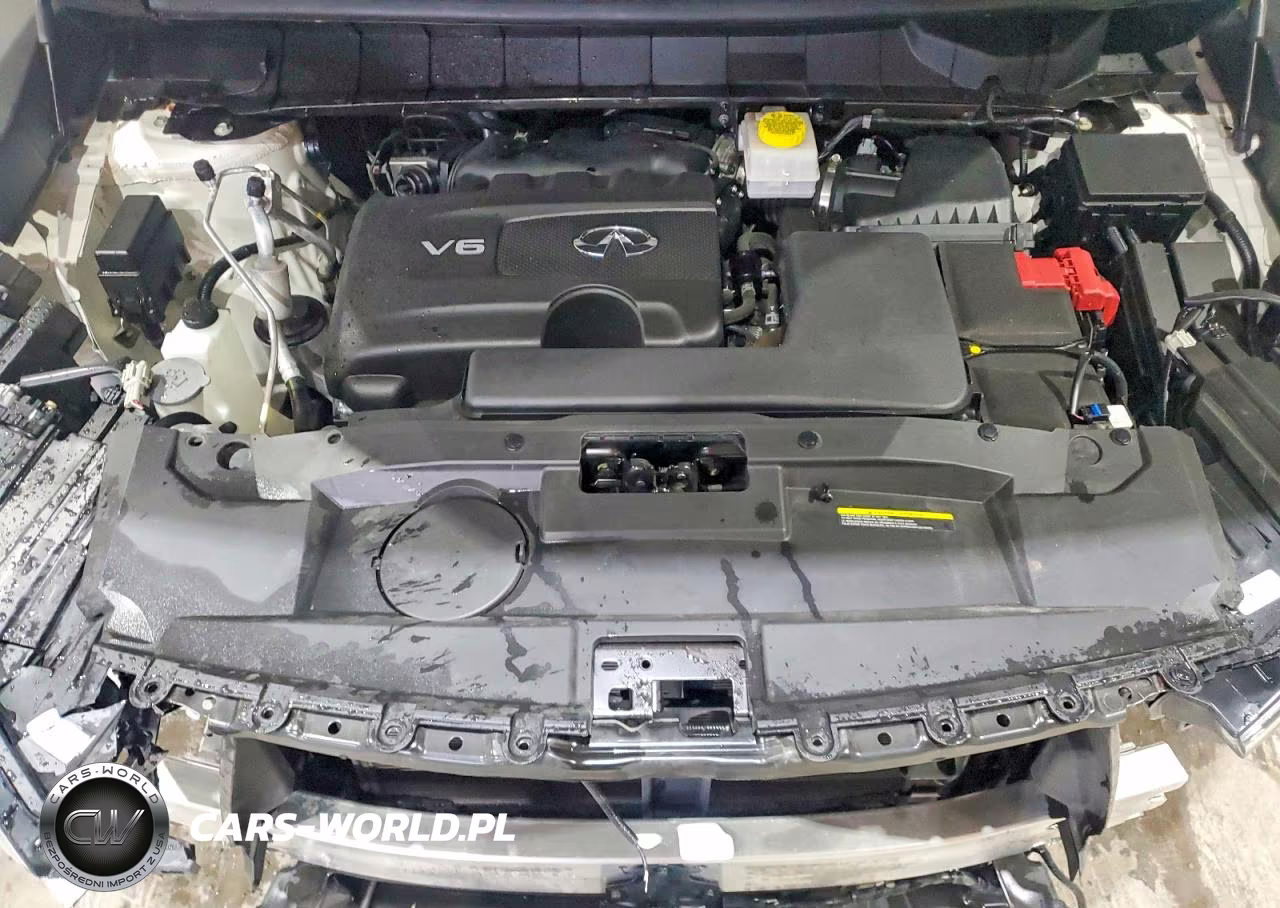 2023 Infiniti Qx60 Luxe VIN:5N1DL1FR4PC359134 - 11