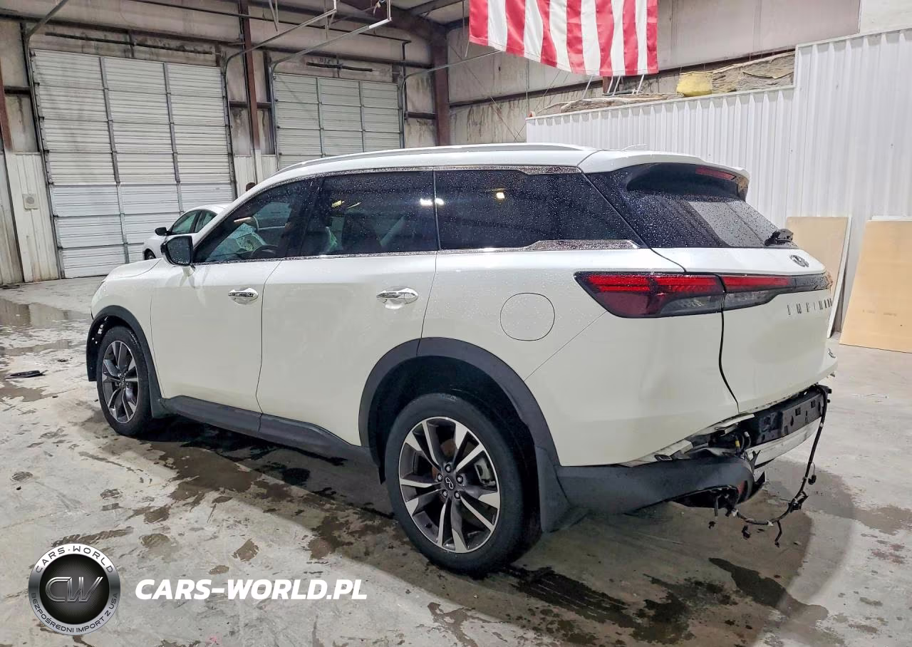 2023 Infiniti Qx60 Luxe VIN:5N1DL1FR4PC359134 - 2