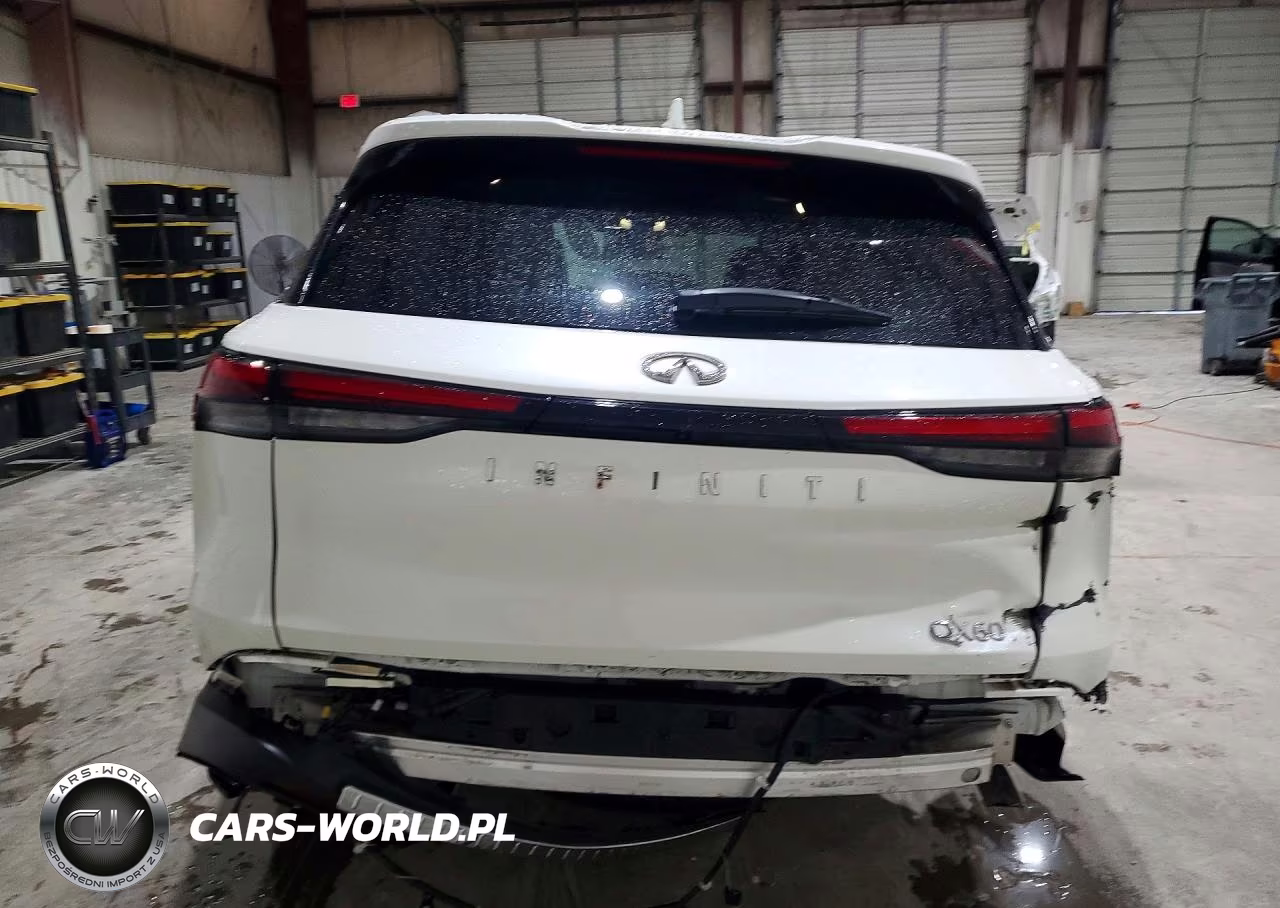 2023 Infiniti Qx60 Luxe VIN:5N1DL1FR4PC359134 - 6
