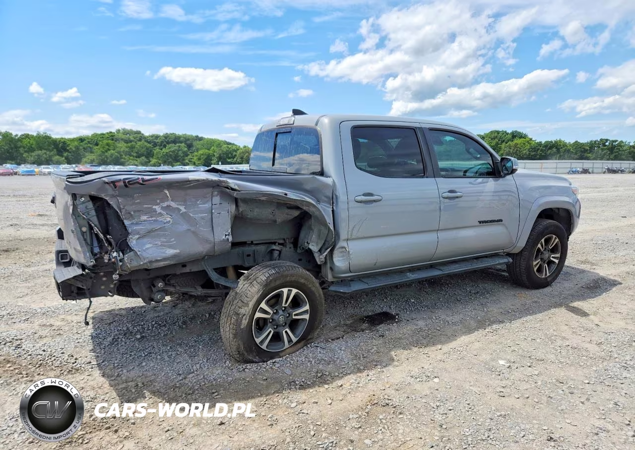 2019 Toyota Tacoma Trd Sport VIN:3TMAZ5CN7KM110252 - 3