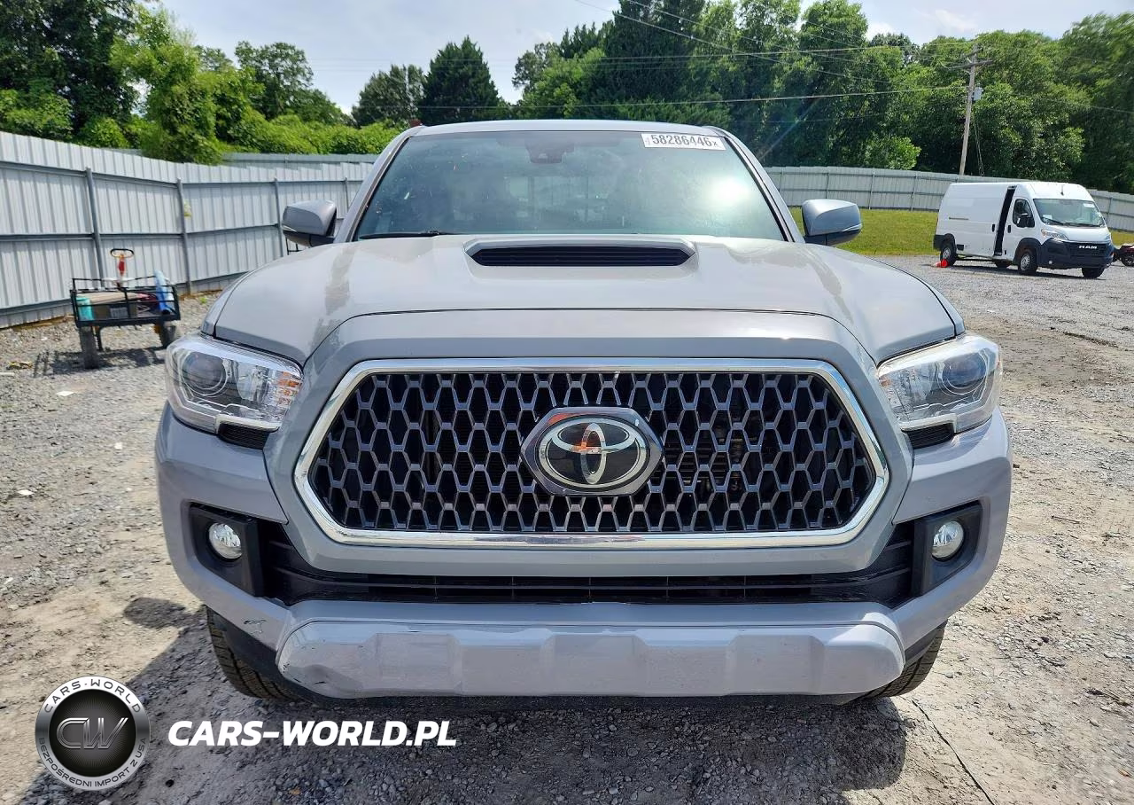 2019 Toyota Tacoma Trd Sport VIN:3TMAZ5CN7KM110252 - 5