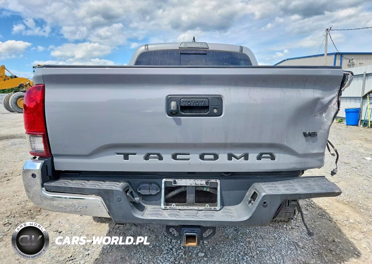 2019 Toyota Tacoma Trd Sport VIN:3TMAZ5CN7KM110252 - 6