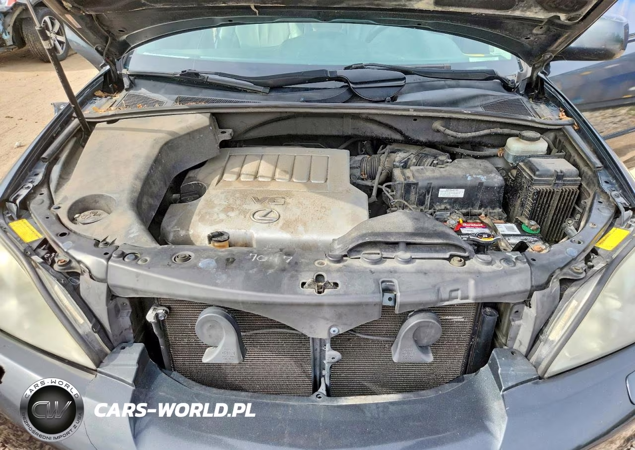2007 Lexus Rx 350 VIN:JTJGK31U570006976 - 12