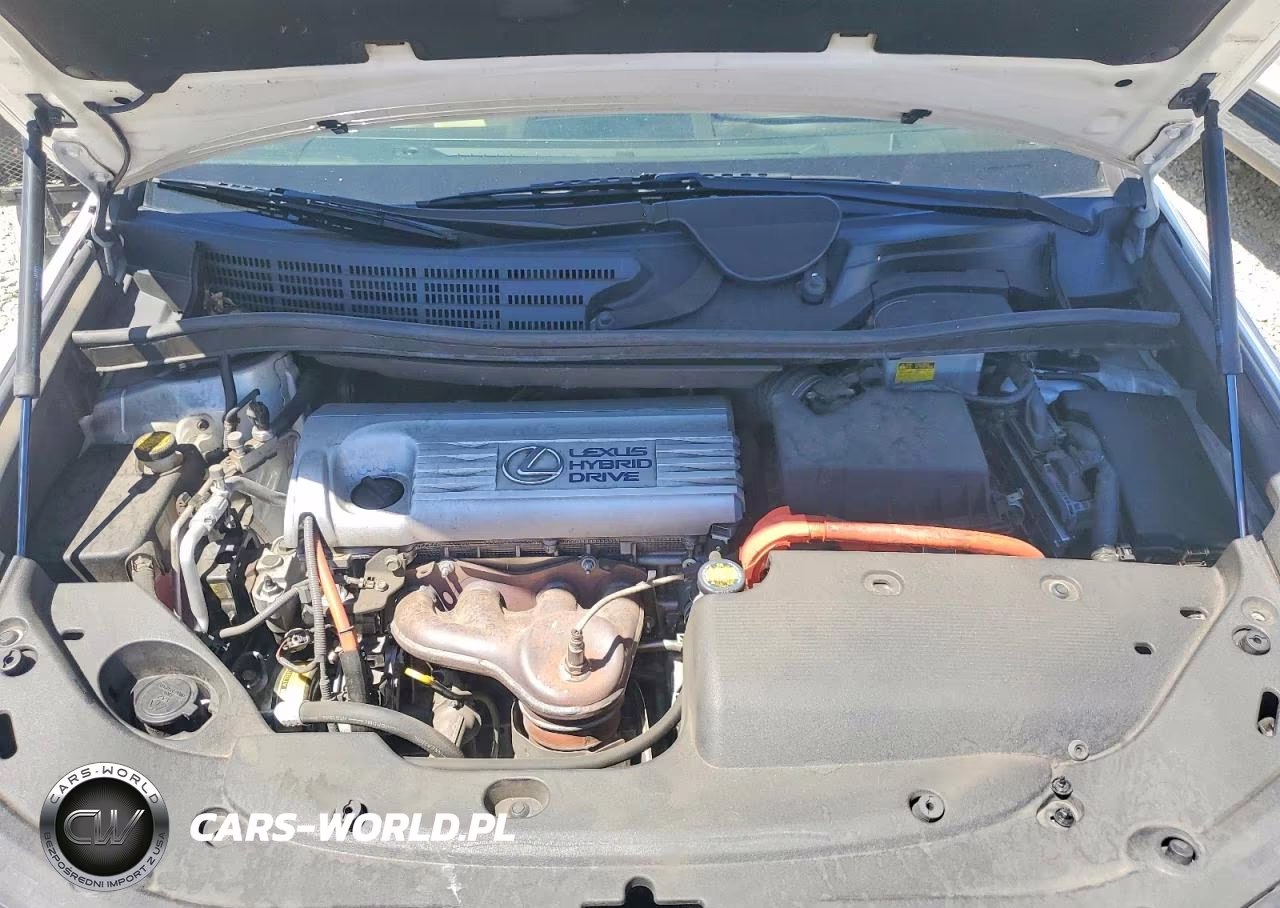 2010 Lexus Hs 250H VIN:JTHBB1BA0A2007209 - 11