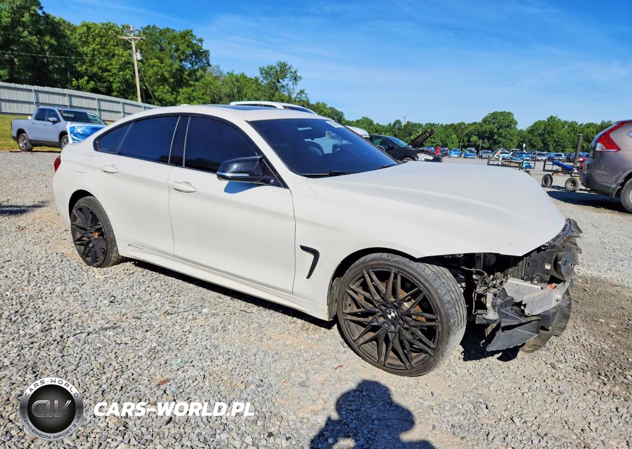 2015 BMW 435 Xi Gran Coupe VIN:WBA4B3C56FGV48277 - 4