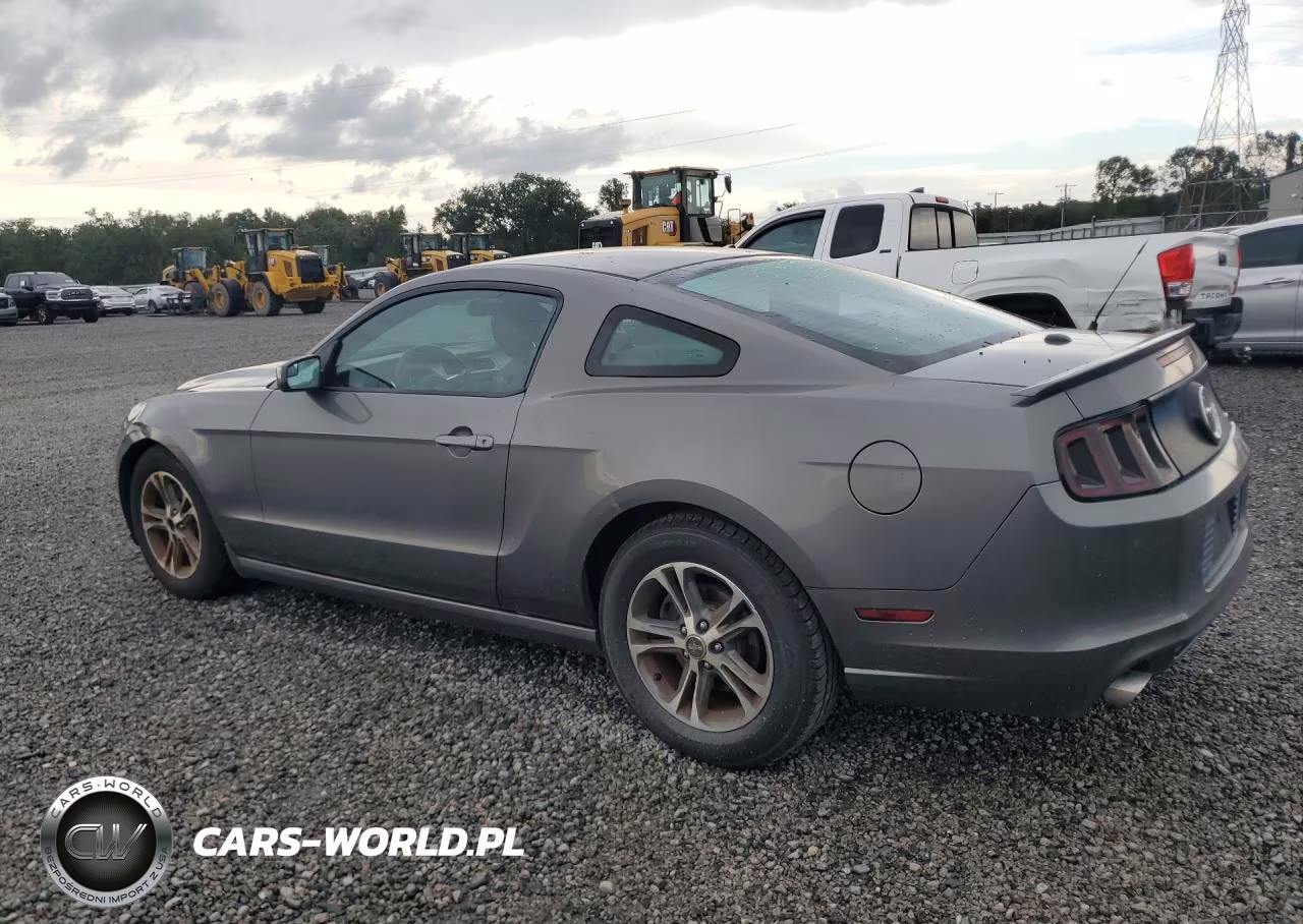 2013 Ford Mustang VIN:1ZVBP8AM8D5264898 - 2