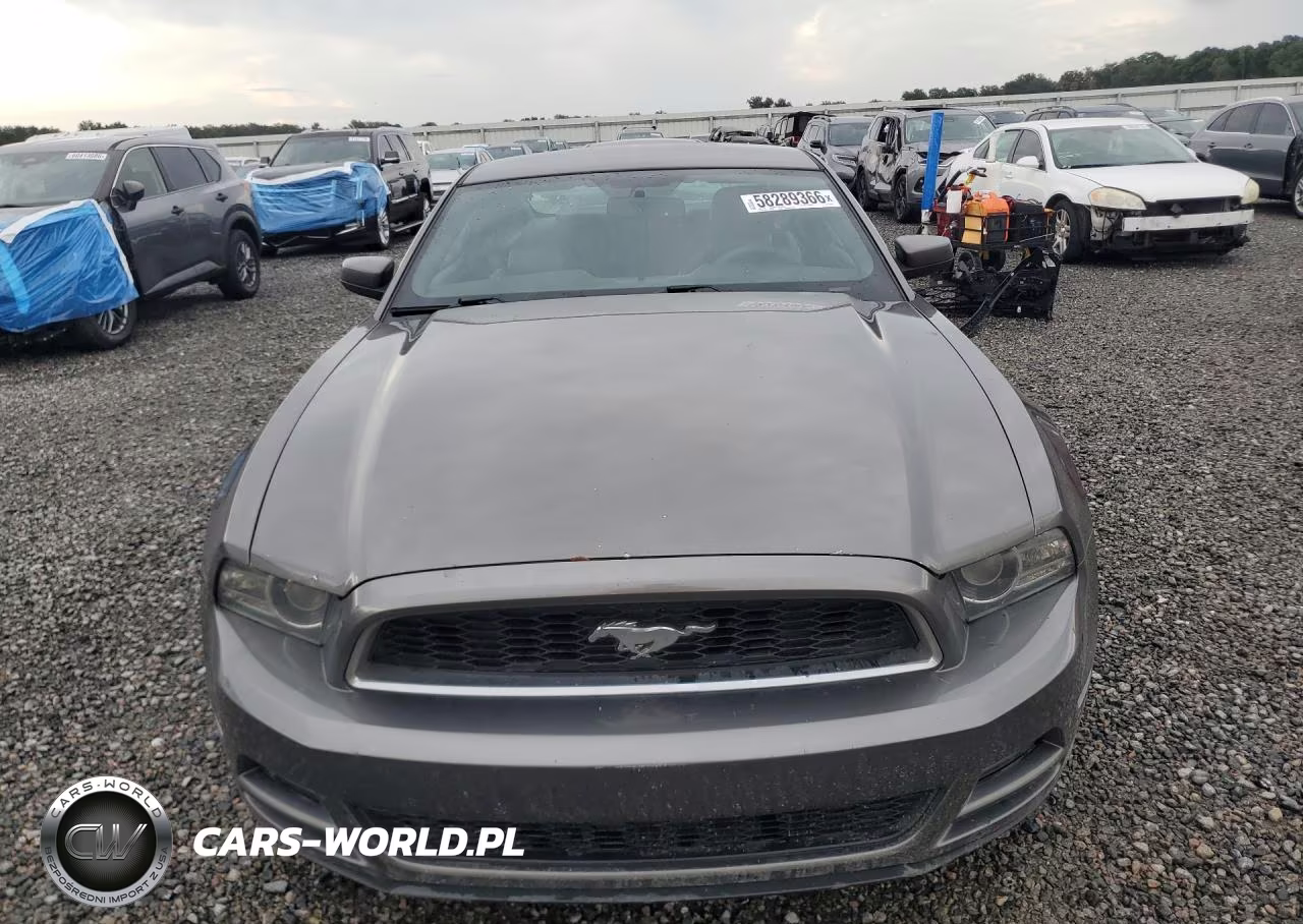 2013 Ford Mustang VIN:1ZVBP8AM8D5264898 - 5
