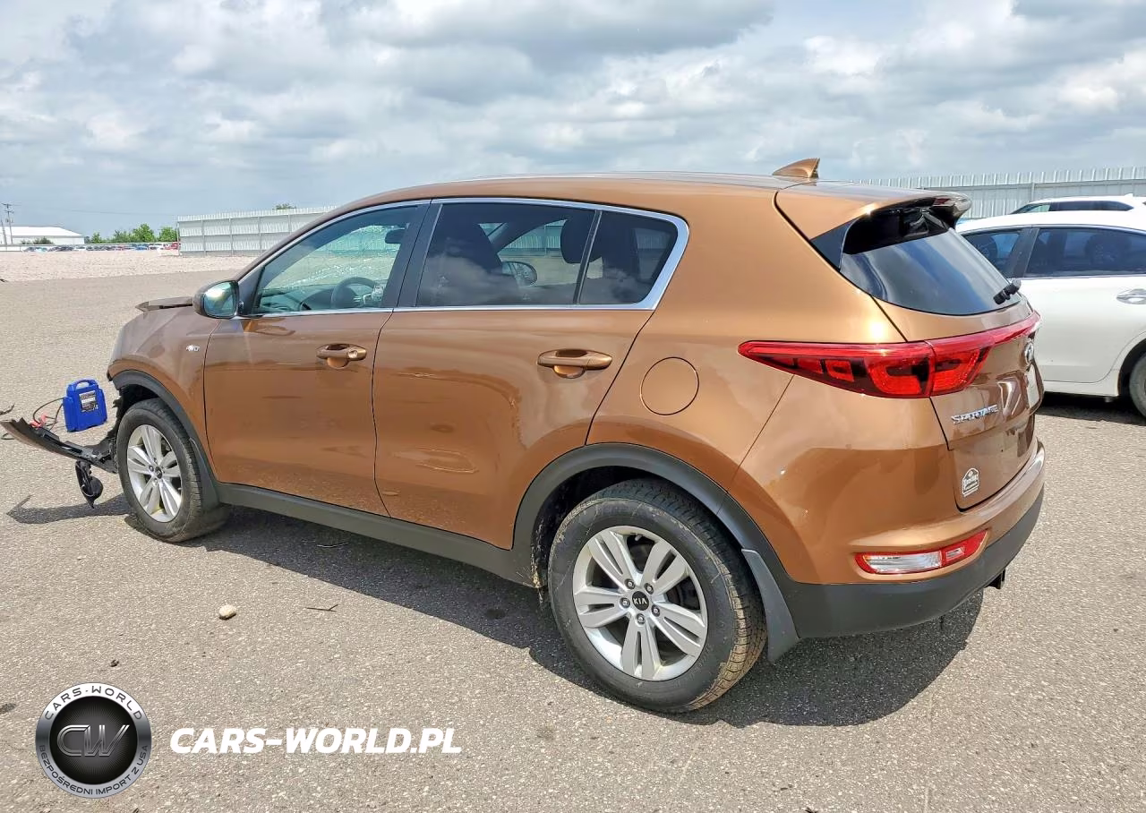 2019 Kia Sportage Lx VIN:KNDPMCAC5K7539334 - 2