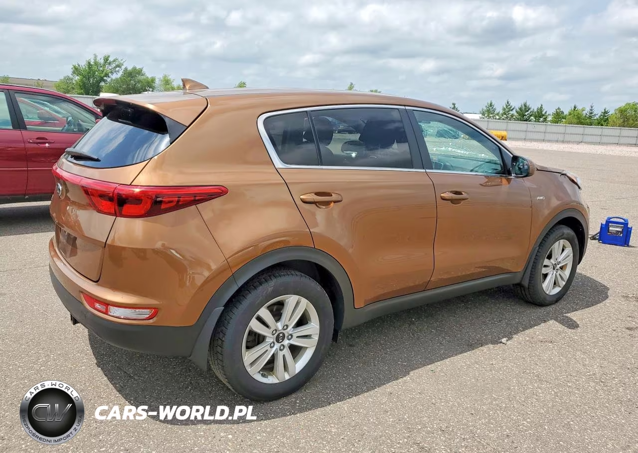 2019 Kia Sportage Lx VIN:KNDPMCAC5K7539334 - 3