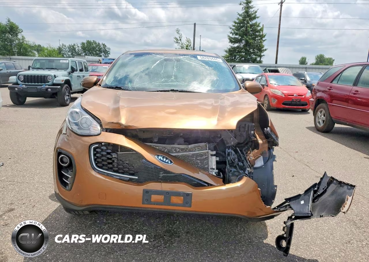 2019 Kia Sportage Lx VIN:KNDPMCAC5K7539334 - 5
