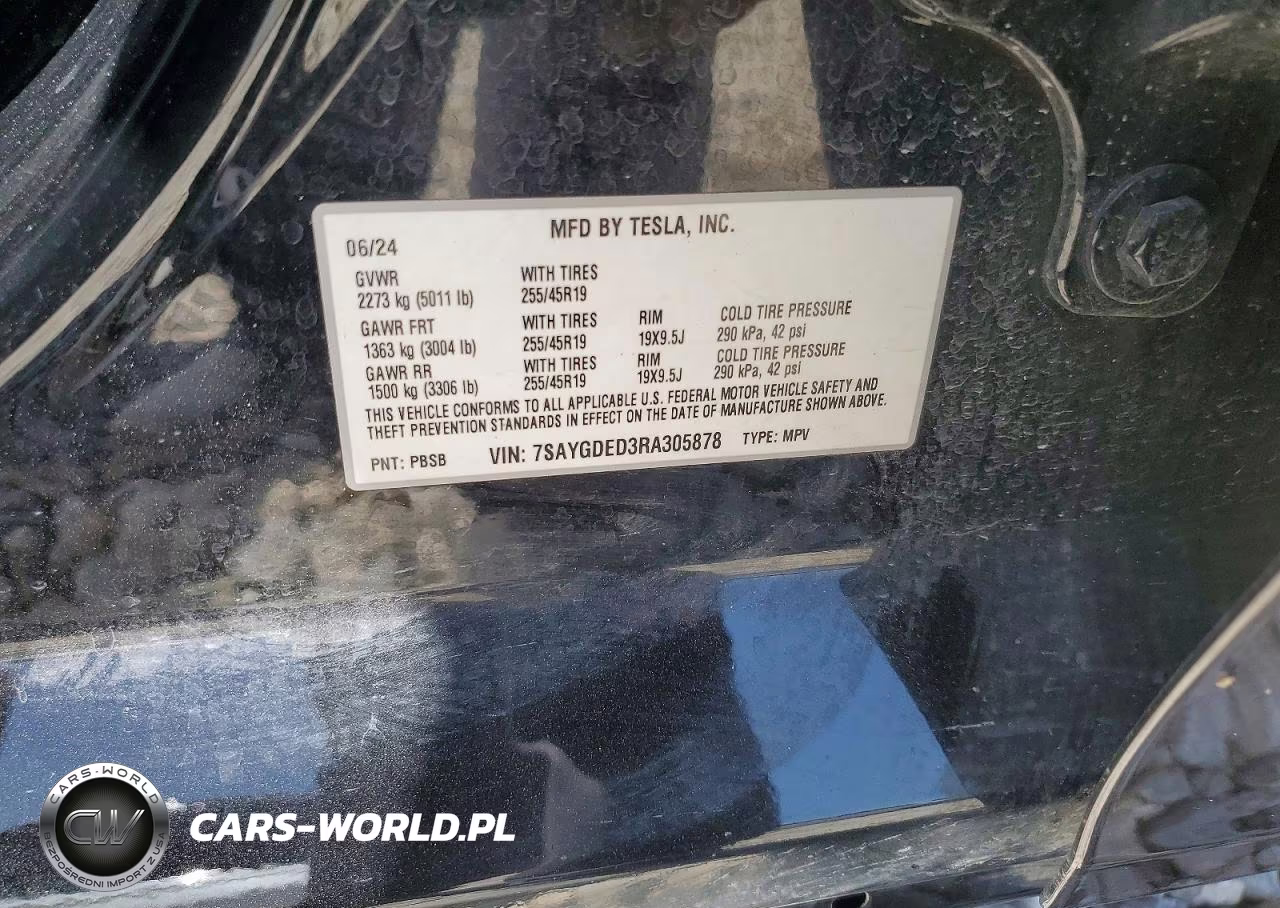 2024 Tesla Model Y VIN:7SAYGDED3RA305878 - 12