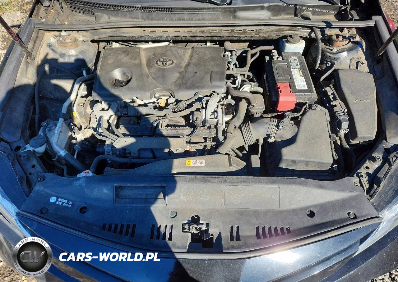 2019 Toyota Camry Le VIN:4T1B11HK5KU818056 - 11