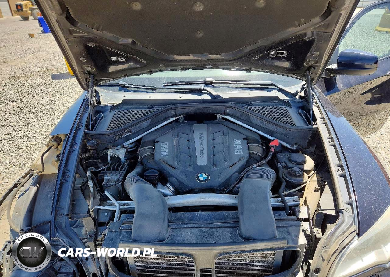 2013 BMW X6 xDrive50I VIN:5UXFG8C52DL591589 - 12