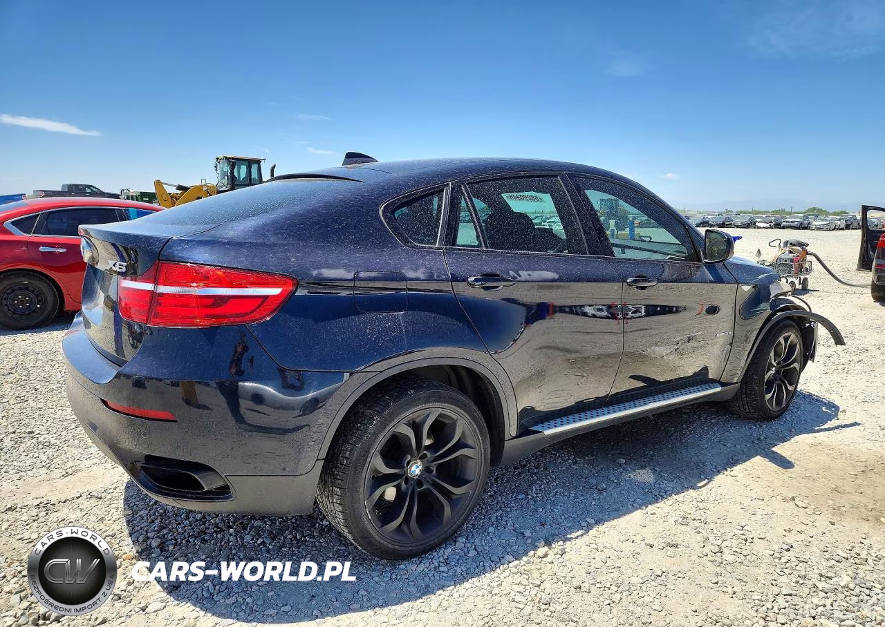 2013 BMW X6 xDrive50I VIN:5UXFG8C52DL591589 - 3