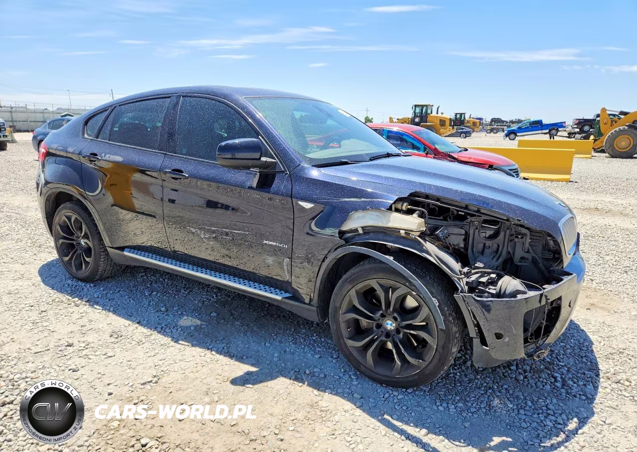 2013 BMW X6 xDrive50I VIN:5UXFG8C52DL591589 - 4