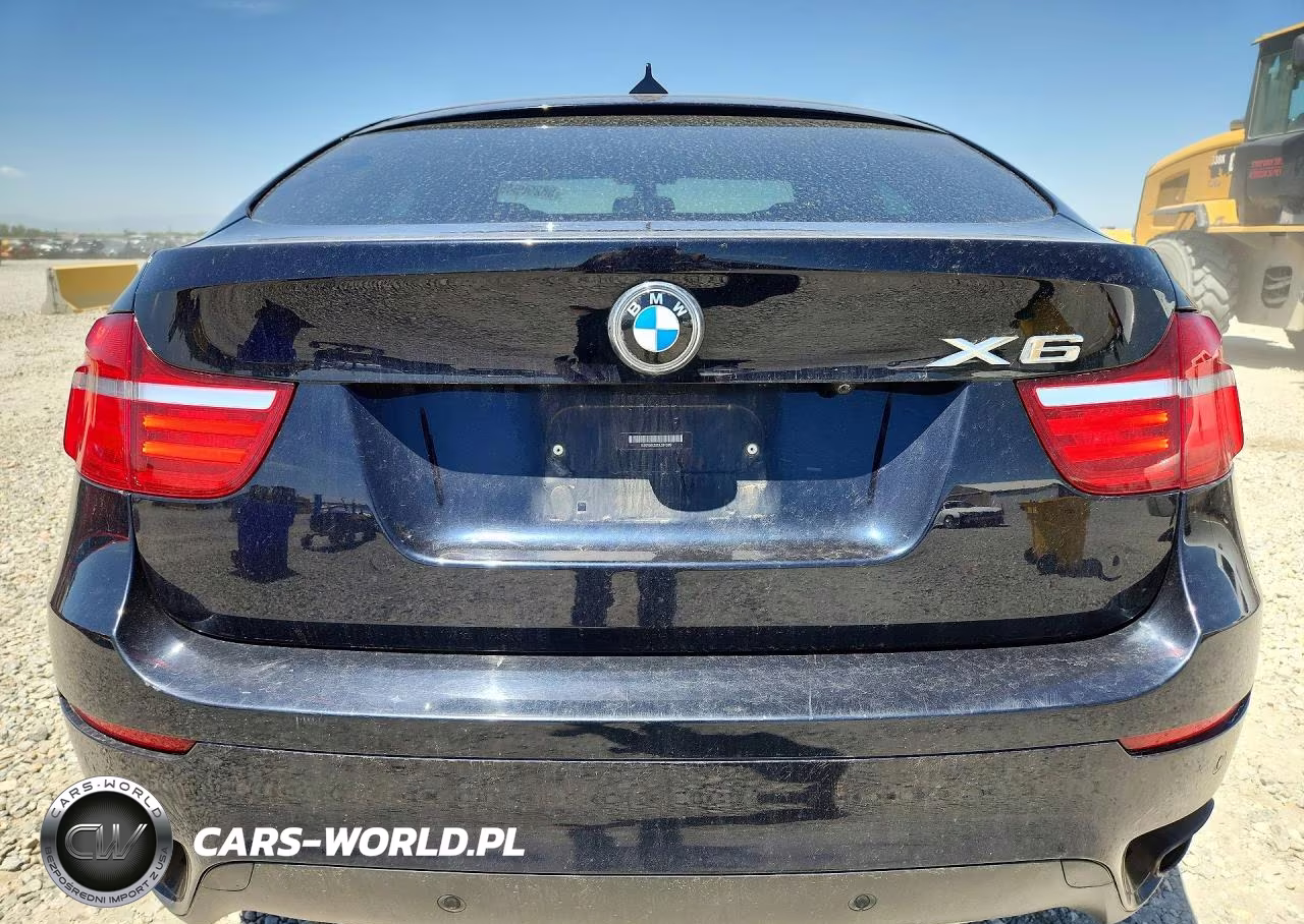 2013 BMW X6 xDrive50I VIN:5UXFG8C52DL591589 - 6