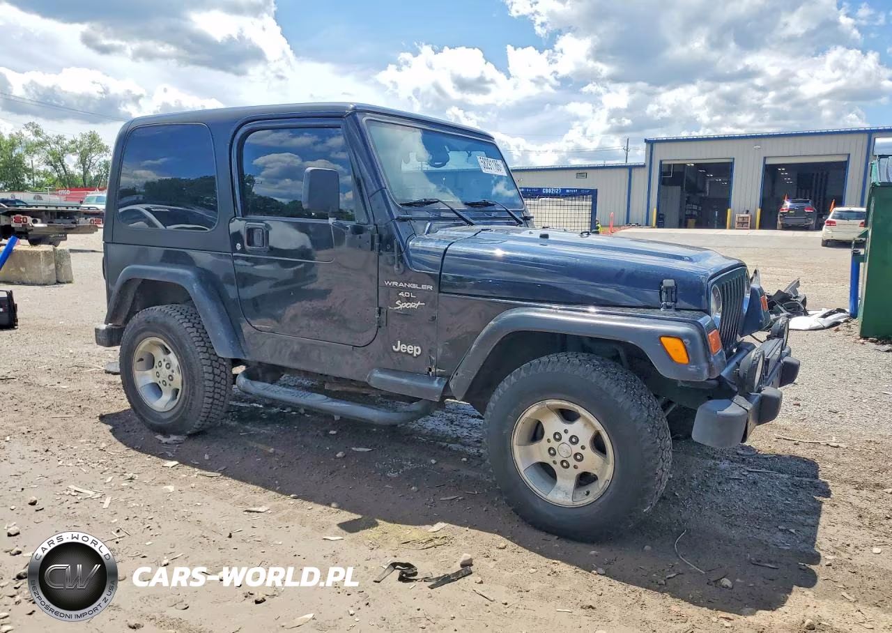 2002 Jeep Wrangler - Tj Sport VIN:1J4FA49S02P713276 - 4