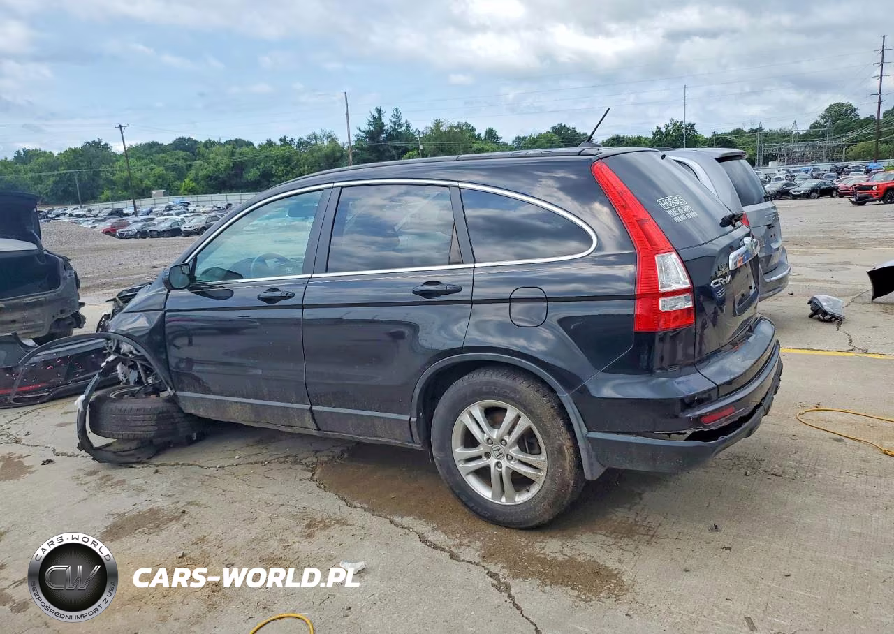 2010 Honda Cr-V Exl VIN:5J6RE4H77AL079517 - 2