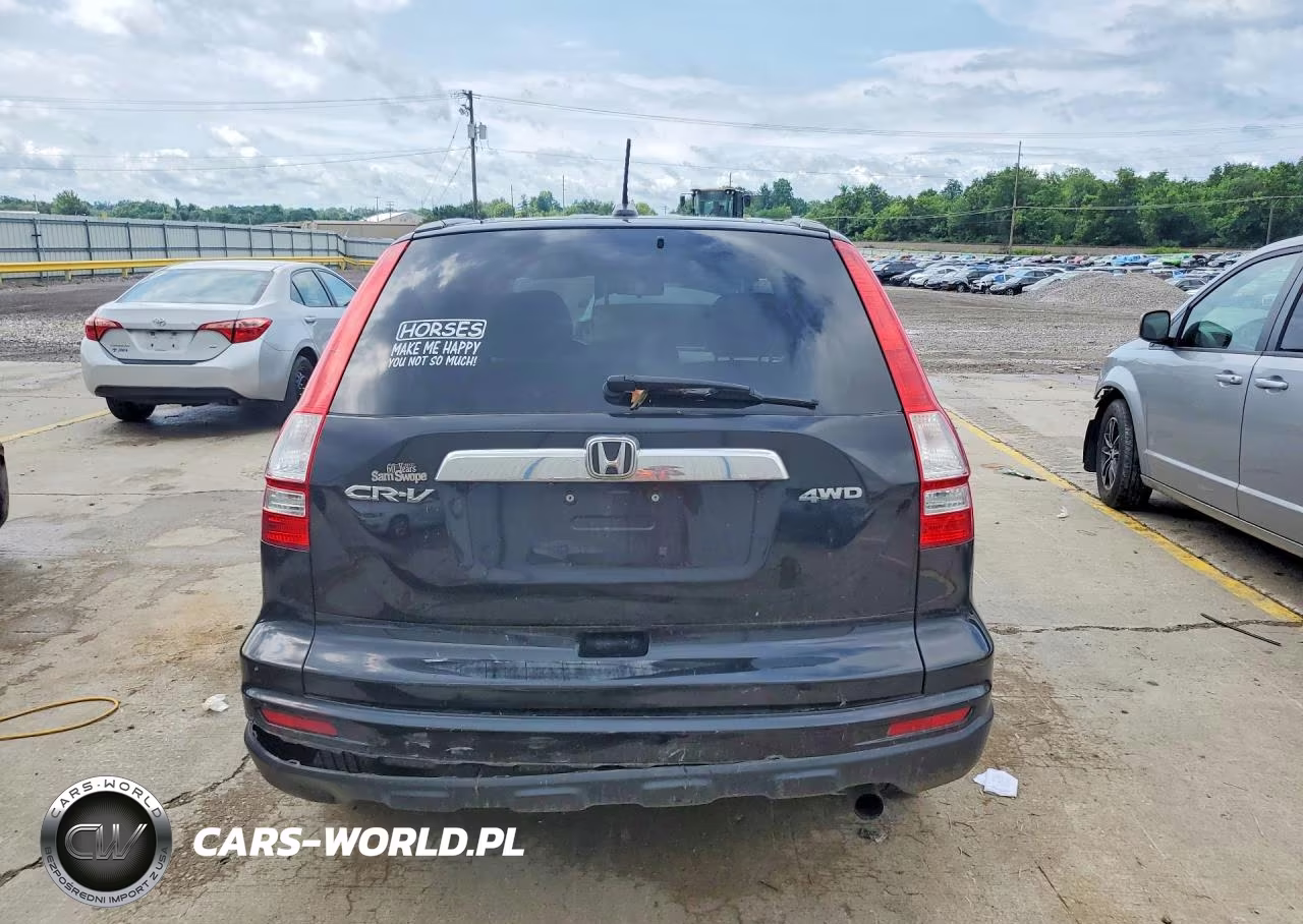 2010 Honda Cr-V Exl VIN:5J6RE4H77AL079517 - 6