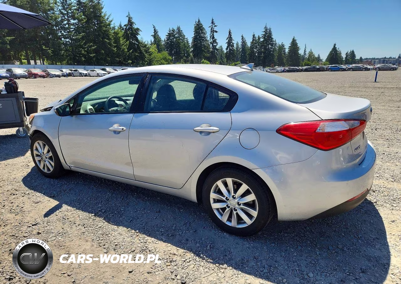 2016 Kia Forte Lx VIN:KNAFX4A65G5604119 - 2