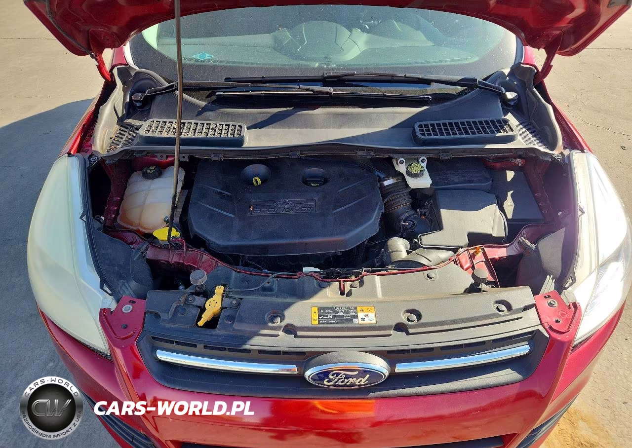 2014 Ford Escape Se VIN:1FMCU0G94EUA63667 - 12