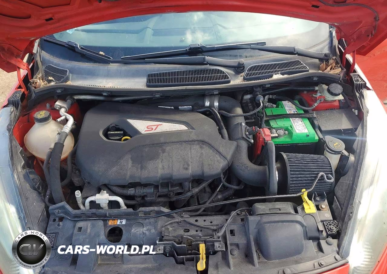 2014 Ford Fiesta St VIN:3FADP4GX5EM120619 - 12