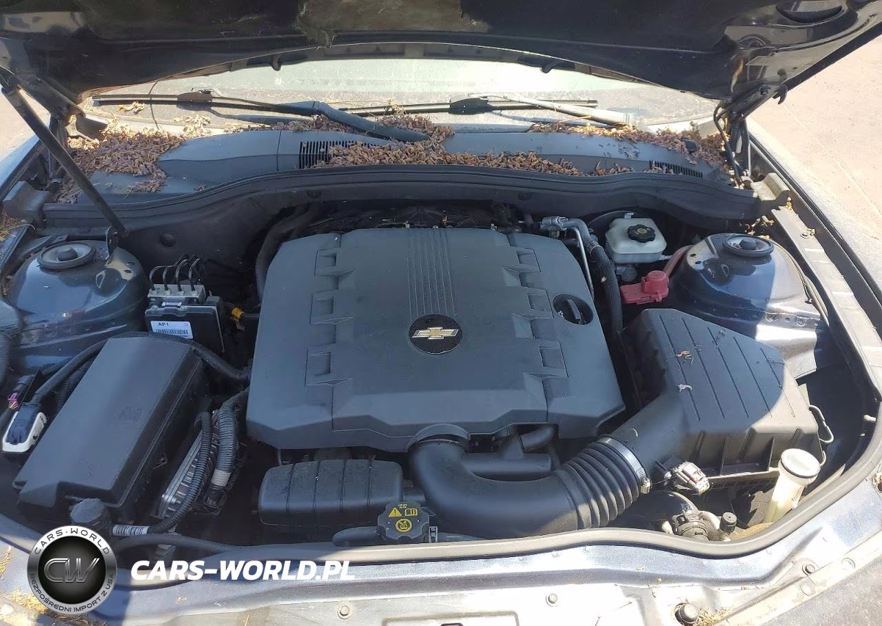 2014 Chevrolet 2-Dr. Coup VIN:2G1FB1E39E9191873 - 11