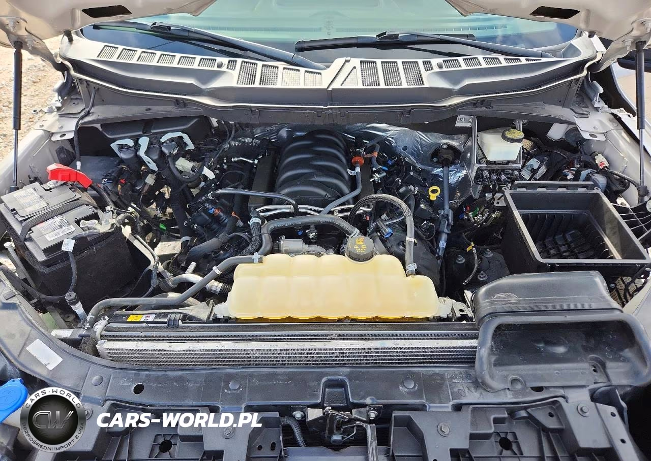 2023 Ford F150 Supercrew VIN:1FTFW1E56PKE38118 - 11