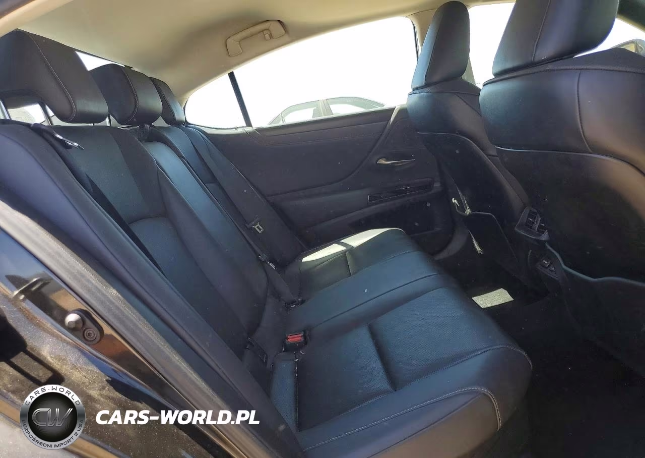 2022 Lexus Es 300H Base VIN:58ADA1C18NU023636 - 10