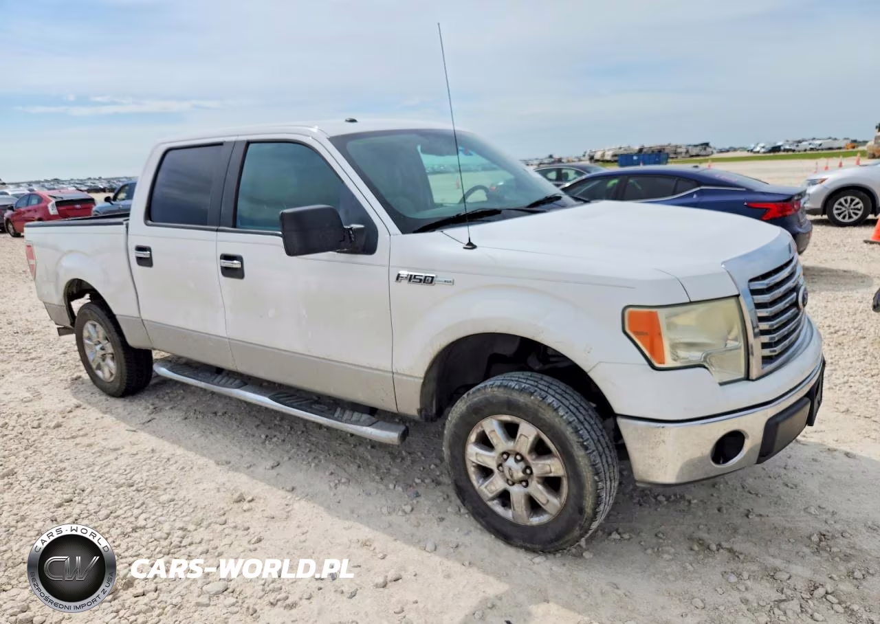 2010 Ford F150 Supercrew VIN:1FTEW1C83AFC35633 - 4