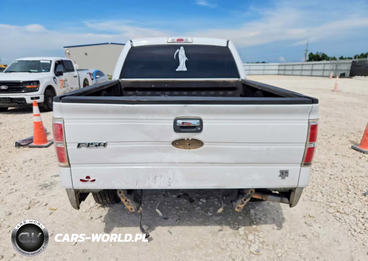 2010 Ford F150 Supercrew VIN:1FTEW1C83AFC35633 - 6