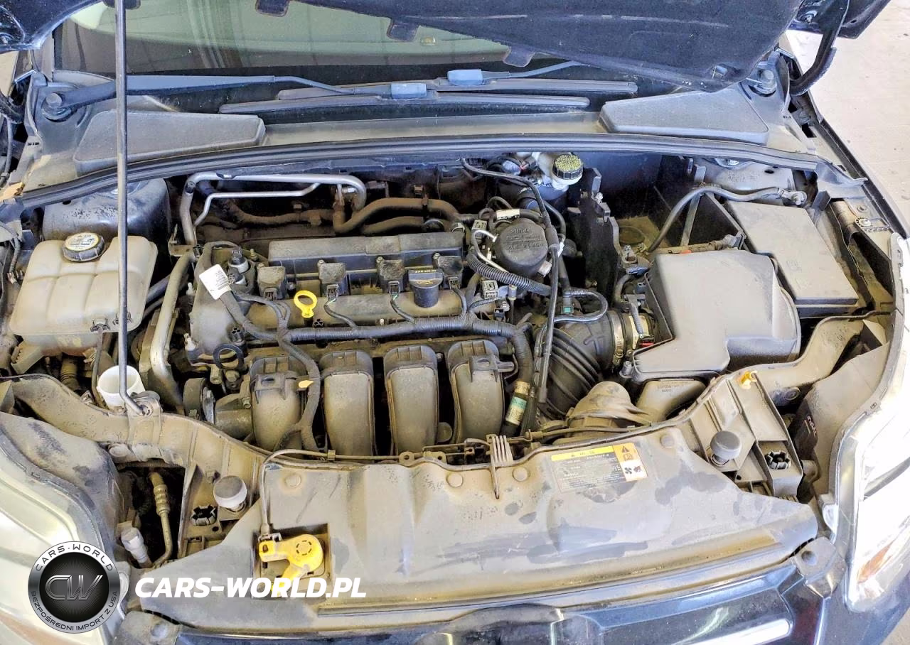 2012 Ford Focus Sel VIN:1FAHP3H29CL105179 - 11