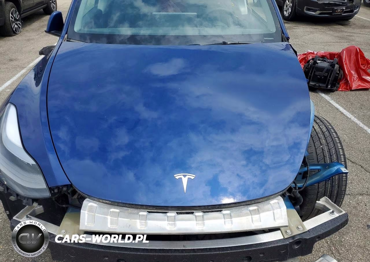 2024 Tesla Model Y VIN:7SAYGDEE2RF983601 - 11