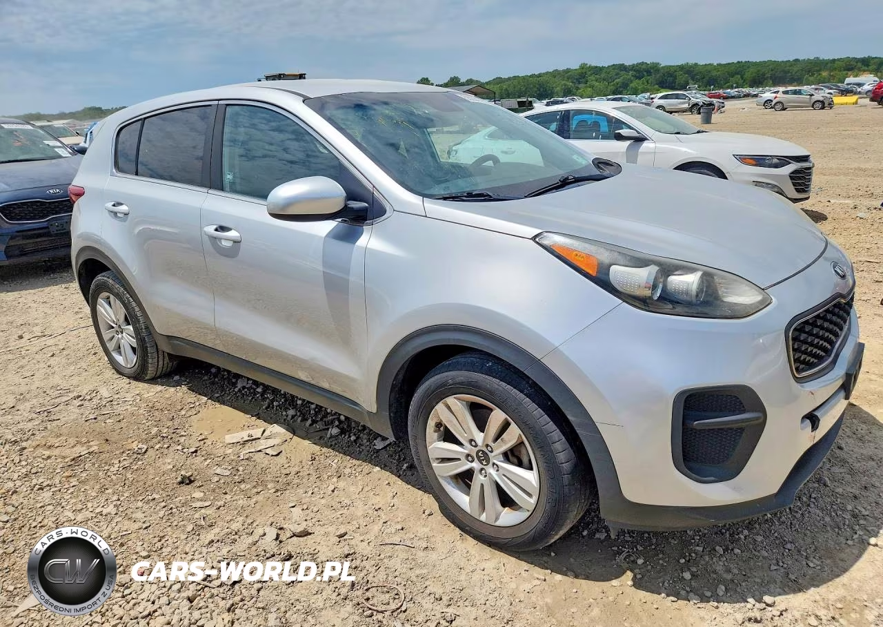 2019 Kia Sportage Lx VIN:KNDPM3AC3K7562045 - 4