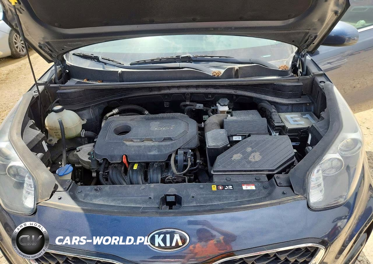 2020 Kia Sportage Lx VIN:KNDPM3AC3L7733717 - 12
