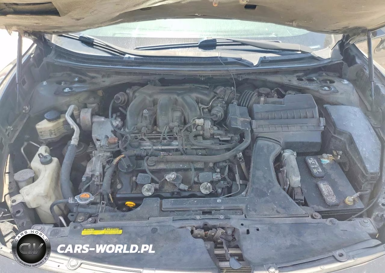 2009 NISSAN MAXIMA S VIN:1N4AA51E69C856493 - 11